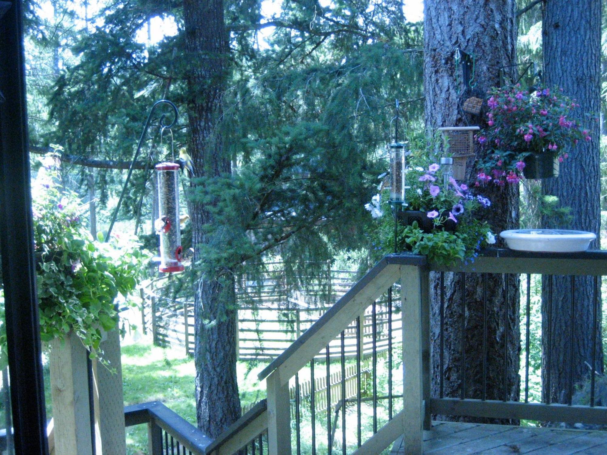 Misty Meadows B&B Langford Kültér fotó