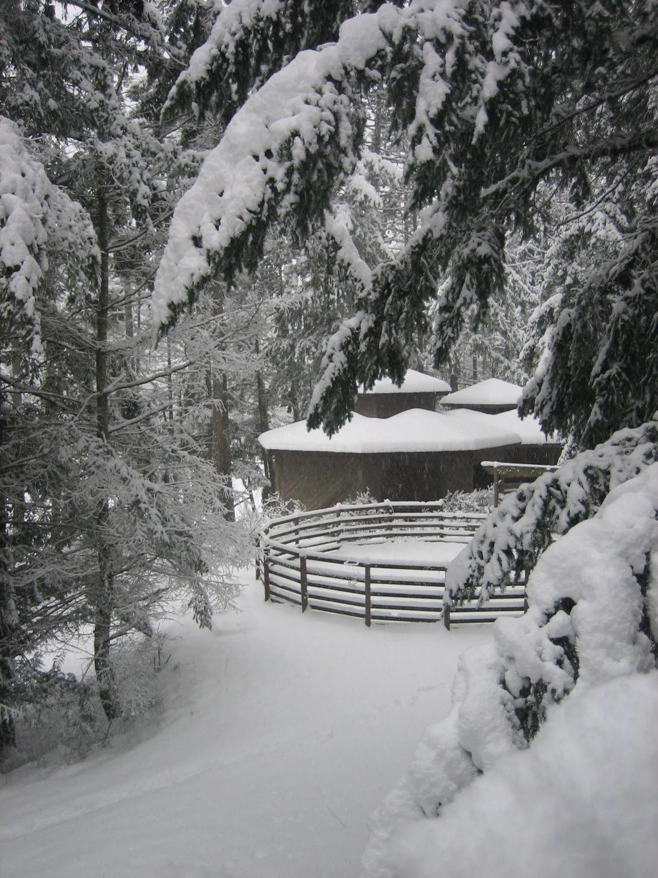 Misty Meadows B&B Langford Kültér fotó