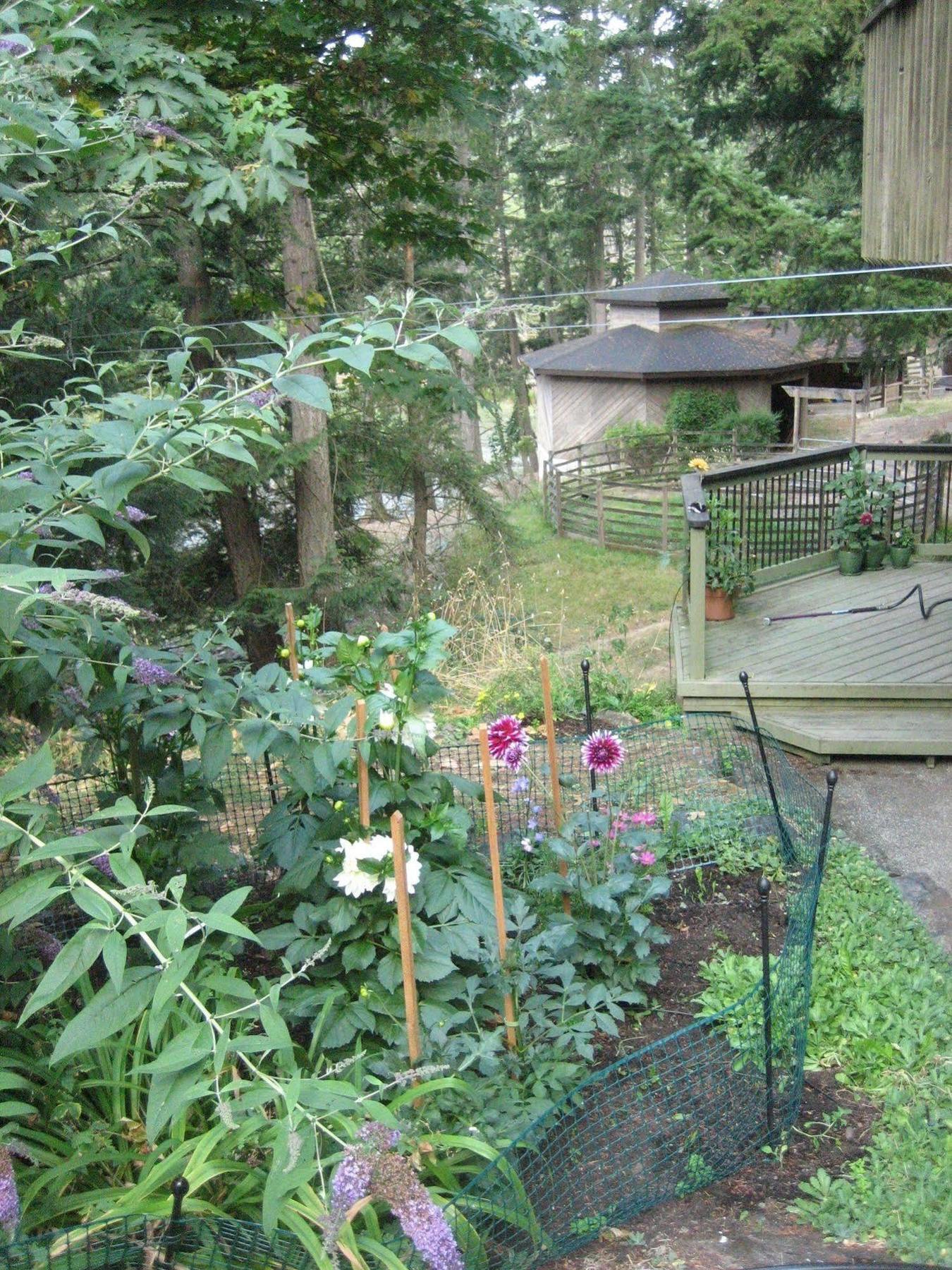 Misty Meadows B&B Langford Kültér fotó